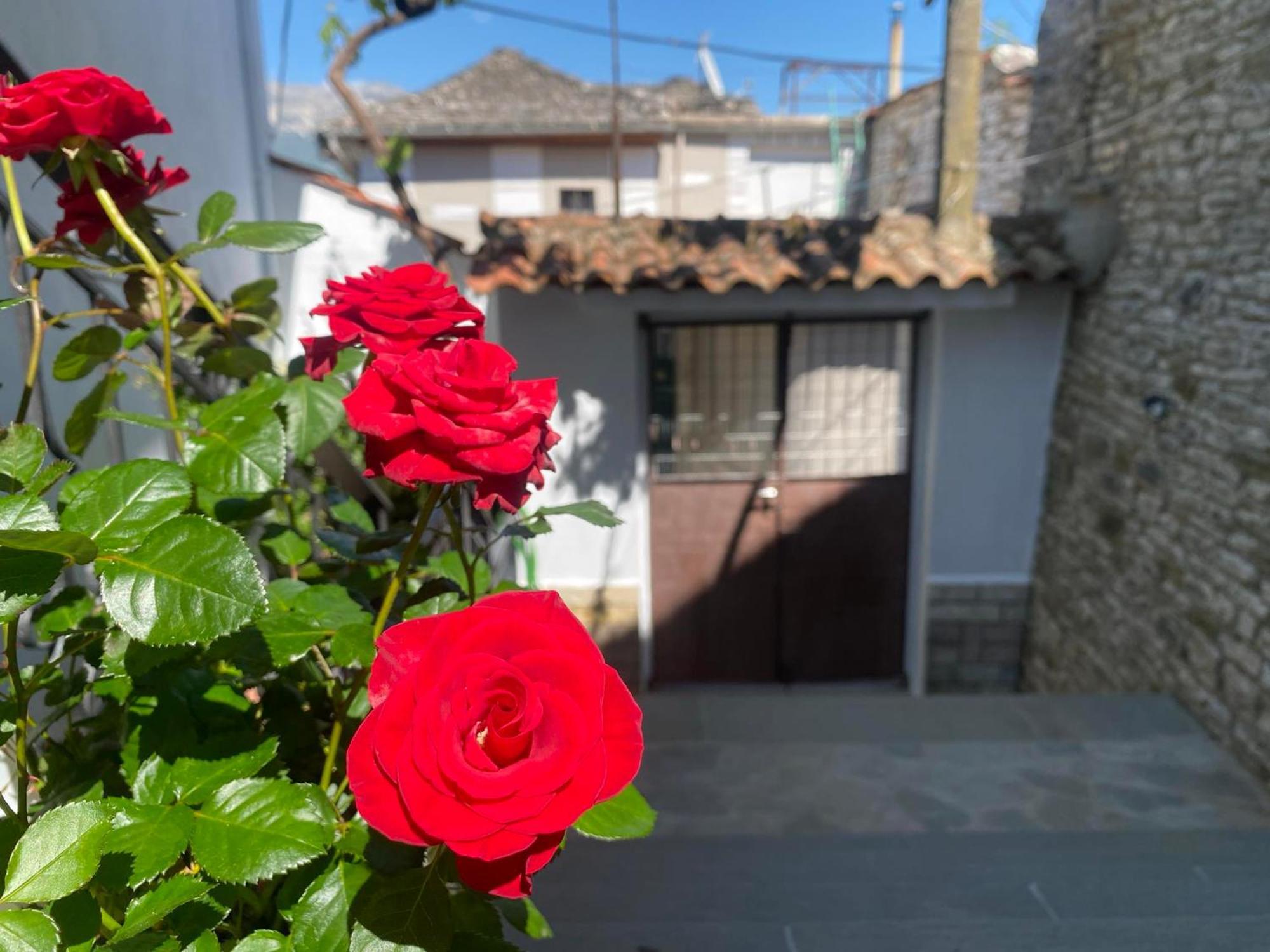 Appartement Persa